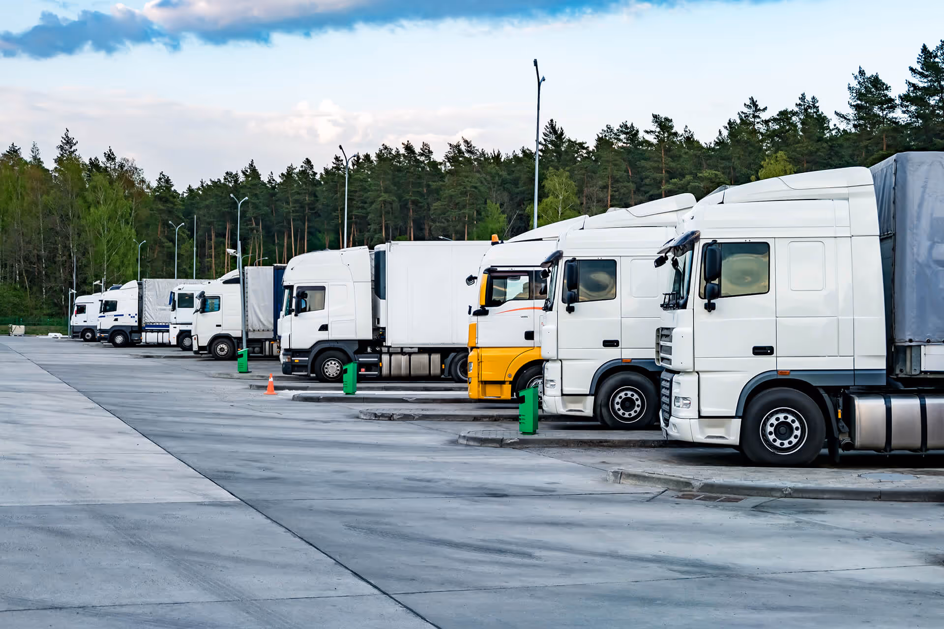 A row of parked white semi-trailer trucks with some having yellow detailing, lined up in a parking lot next to a forest under a cloudy sky